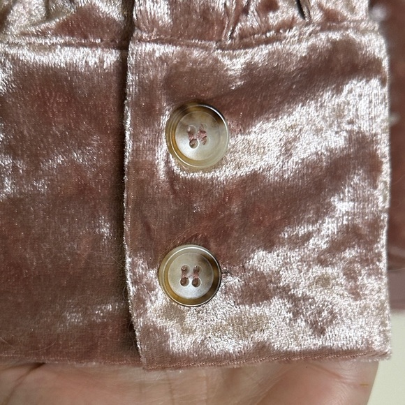 Mystree Velvet Button-Down Shirt in Pink - Picture 4 of 5